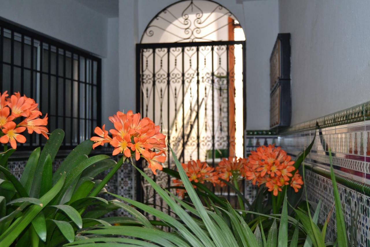 Nuevo Sueno Del Alcazar Apartman Córdoba Kültér fotó